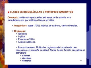 Composicion quimica-de-los-seres-vivos