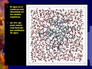 Composicion quimica-de-los-seres-vivos