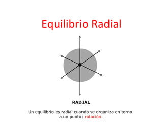 Equilibrio Radial




                     RADIAL

Un equilibrio es radial cuando se organiza en torno
                a un punto: rotación.
 
