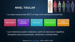 NIVEL TISULAR
• La masa corporal total (MCT) en este nivel representa la suma de:
• Las mediciones pueden realizarse a partir de resonancia magnética,
tomografía axial computarizada, ultrasonido y antropometría.
Tejido adiposo
Músculo
esquelético
Masa ósea Masa visceral
Tejido
Hematopoyetico
Wang et al. Am J Clin Nutr. 1992 Jul;56(1):19-28.
 