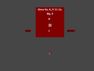 95%
Otros Na, K3 P, CI, Ca,
Mg, S
N
H
c 99 5%
O
 