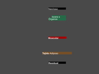 Nen/ioso
íscera s
Órganos
Muscular
Tejido Adiposo
Residual
 