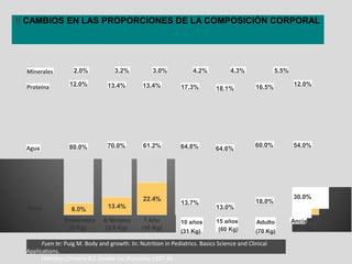 l| CAMBIOS EN LAS PROPORCIONES DE LA COMPOSICIÓN CORPORAL
Minerales 2.0% 3.2% 3.0% 4.2% 4.3% 5.5%
Proteína 12.0% 13.4% 13.4% 17.3% 18.1% 16.5% 12.0%
64.8% 64.6%
60.0% 54.0%
70.0% 61.2%
80.0%
Agua
13.7%
10 años
(31 Kg)
13.0%
18.0%
15 años
(60 Kg)
Adulto
(70 Kg)
30.0%
Ancia
Fuen te: Puig M. Body and growth. In: Nutrition in Pediatrics. Basics Science and Clinical
Applications.
Hamilton,Ontario:B.C.Decker Inc.Publisher,1997:45
 