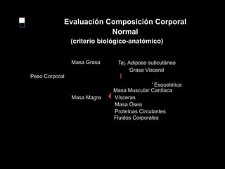 □ Evaluación Composición Corporal
Normal
(criterio biológico-anatómico)
Masa Grasa
Peso Corporal
Tej. Adiposo subcutáneo
Grasa Visceral
I
’ Esquelética
Masa Muscular Cardiaca
Masa Magra Vísceras
Masa Ósea
Proteínas Circulantes
Fluidos Corporales
 