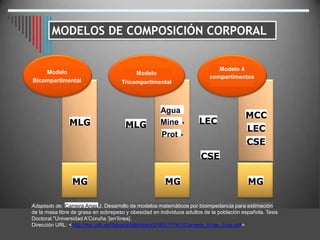 Agua
MCC
LEC
MLG Mine
MLG LEC
Prot
CSE
CSE
MG MG MG
Carreira Arias
MODELOS DE COMPOSICIÓN CORPORAL
J. Desarrollo de modelos matemáticos por bioimpedancia para estimación
Adaptado de.
Modelo
Bicompartimental
Modelo
Tricompartimental
Modelo 4
compartimentos
de la masa libre de grasa en sobrepeso y obesidad en individuos adultos de la población española. Tesis
Doctoral."Universidad A'Coruña.’[en’línea].
Dirección URL: <http://ruc.udc.es/dspace/bitstream/2183/7174/1/Carreira_Arias_Jose.pdf>
 