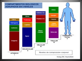 COMPARTIMENTOS BIOLOGICOS
AGRUPADOS EN 5 NIVELES
 
