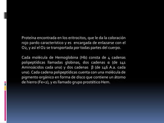 Proteína encontrada en los eritrocitos, que le da la coloración
rojo pardo característico y es encargada de enlazarse con el
O2, y así el O2 se transportada por todas partes del cuerpo.
Cada molécula de Hemoglobina (Hb) consta de 4 cadenas
polipeptídicas llamadas globinas, dos cadenas α (de 141
Aminoácidos cada una) y dos cadenas β (de 146 A.a. cada
una). Cada cadena polipeptídicas cuenta con una molécula de
pigmento orgánico en forma de disco que contiene un átomo
de hierro (Fe+2), y es llamado grupo prostético Hem.
 