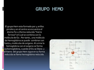 El grupo Hem esta formado por 4 anillos
pirroles y en el centro se encuentra el
átomo Fe+2 (forma reducida “hierro
ferroso”) el cual se combina con la
molécula de O2 . Por tanto , una molécula
de Hemoglobina se puede combinar con
hasta 4 moléculas de oxígeno. Al unirse la
hemoglobina con el oxígeno se forma
oxihemoglobina, cuando el O2 se libera y
el hierro del grupo Hem sigue en su forma
reducida se llama hemoglobina reducida.
GRUPO HEMO
 