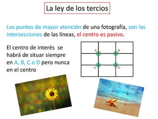 La ley de los tercios
Los puntos de mayor atención de una fotografía, son las
intersecciones de las líneas, el centro es pasivo.
El centro de interés se
habrá de situar siempre
en A, B, C o D pero nunca
en el centro
 