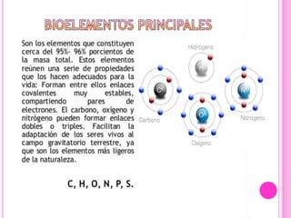 Composicion del cuerpo humano | PPTX