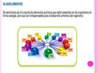 Composicion del cuerpo humano | PPTX