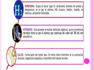 Composicion del cuerpo humano | PPTX
