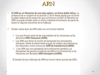 Marn Tarn Rarn Composicion de los seres vivos | PPT