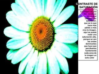 CONTRASTE DE
  SATURACIÓN
  La imagen es una
      flor, donde se
           observa el
        contaste por
          saturación,
       que es lo que
            hace más
       pálido o más
    vivo la imagen,
      aquí se puede
            notar una
    saturación alta,
      porque se ven
            las ondas
         dominantes
       que hace que
         percibamos
         fuertemente
       cada zona de
       la imagen un
        solo color
 