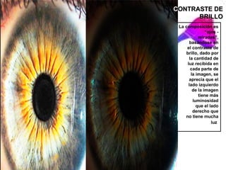 CONTRASTE DE
      BRILLO
 La composición es
               “ojos -
           miradas”,
      basándose en
     el contraste de
    brillo, dado por
      la cantidad de
     luz recibida en
       cada parte de
       la imagen, se
      aprecia que el
      lado izquierdo
        de la imagen
           tiene más
        luminosidad
          que el lado
        derecho que
    no tiene mucha
                  luz
 
