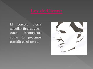 Ley de Cierre:
El cerebro cierra
aquellas figuras que
están incompletas
como lo podemos
presidir en el rostro.
 