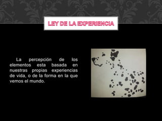 La percepción de los
elementos esta basada en
nuestras propias experiencias
de vida, o de la forma en la que
vemos el mundo.
 
