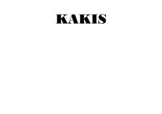 KAKIS
 