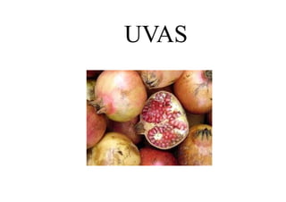 UVAS
 