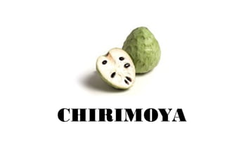 CHIRIMOYA
 