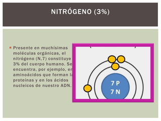 NITRÓGENO (3%)

 Presente en muchísimas
moléculas orgánicas, el
nitrógeno (N,7) constituye el
3% del cuerpo humano. Se
encuentra, por ejemplo, en los
aminoácidos que forman las
proteínas y en los ácidos
nucleicos de nuestro ADN.

 