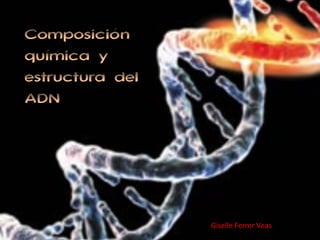 Composición química y estructura del ADN Giselle Ferrer Veas 