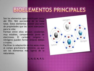 Composicion quimica del cuerpo humano | PPTX