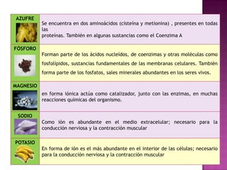 Composicion quimica del cuerpo humano | PPTX