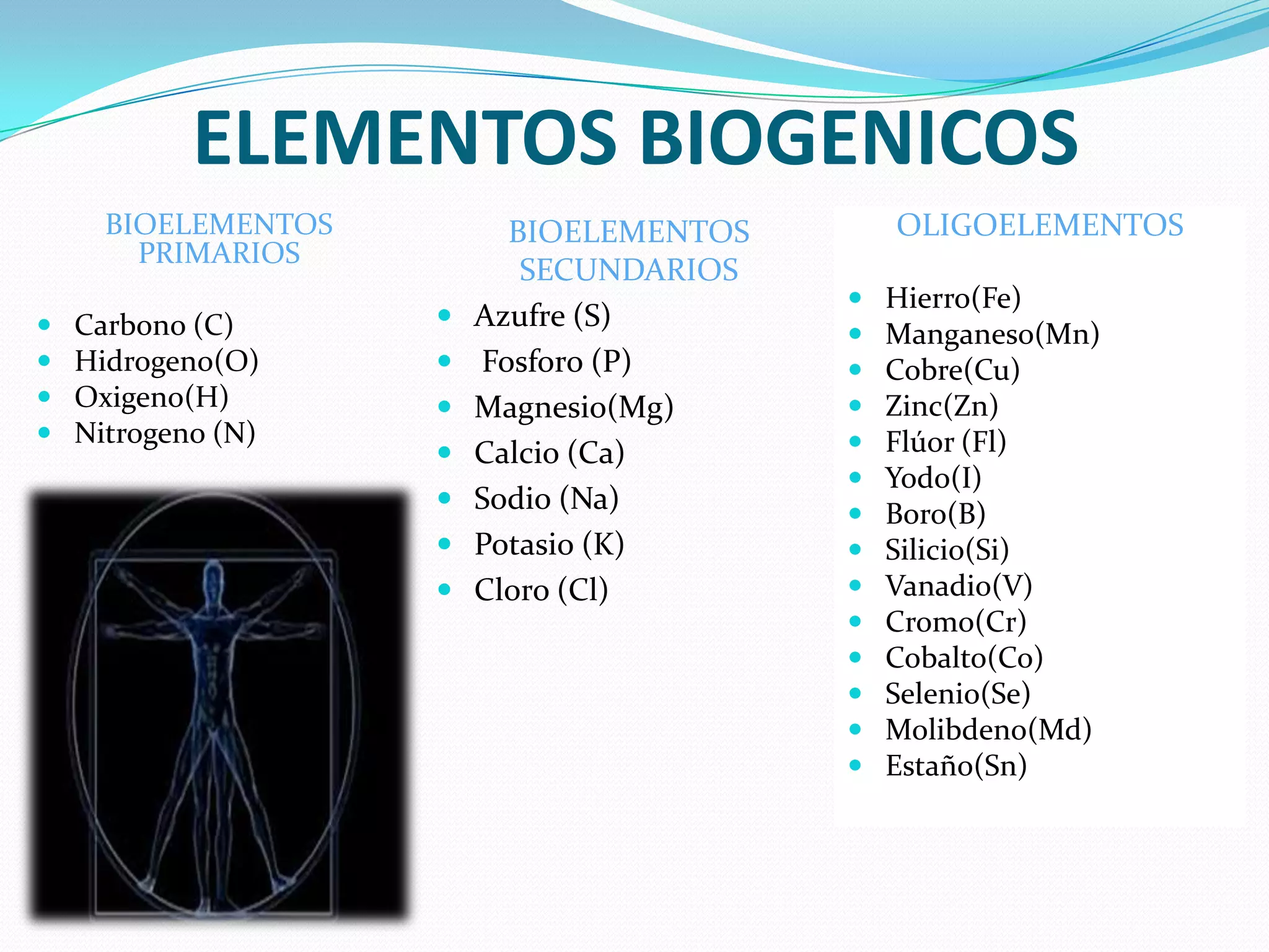 Composicion quimica del cuerpo humano | PPTX