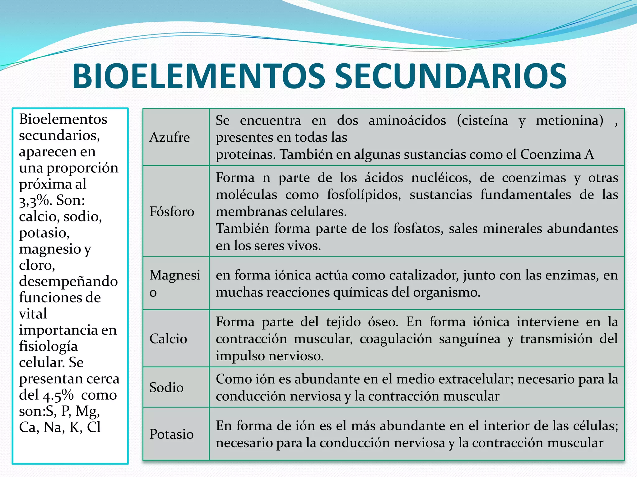 Composicion quimica del cuerpo humano | PPTX
