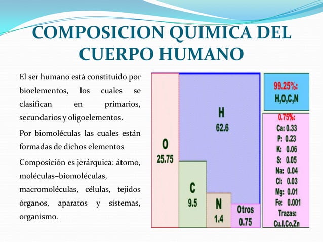 Composicion quimica del cuerpo humano | PPTX