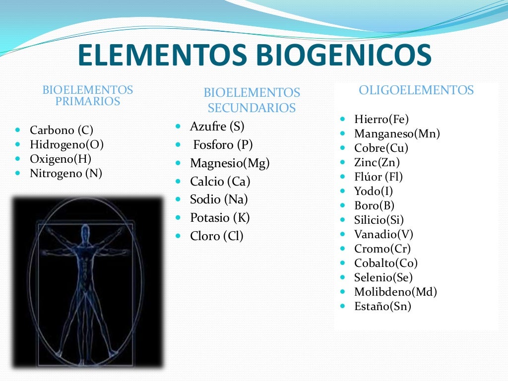 Composicion quimica del cuerpo humano Composicion quimica del cuerpo humano