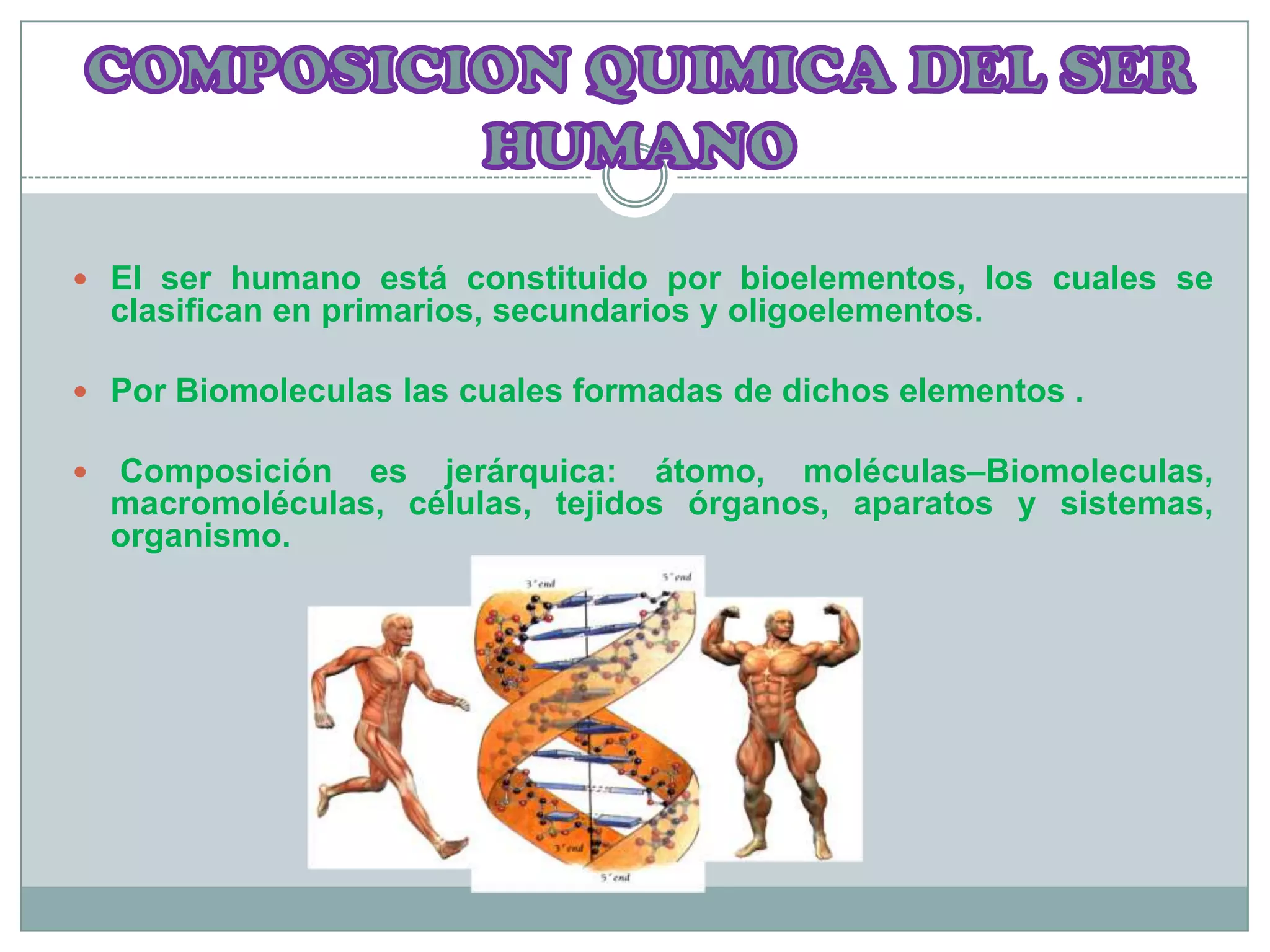 Composicion quimica del cuerpo humano | PPT