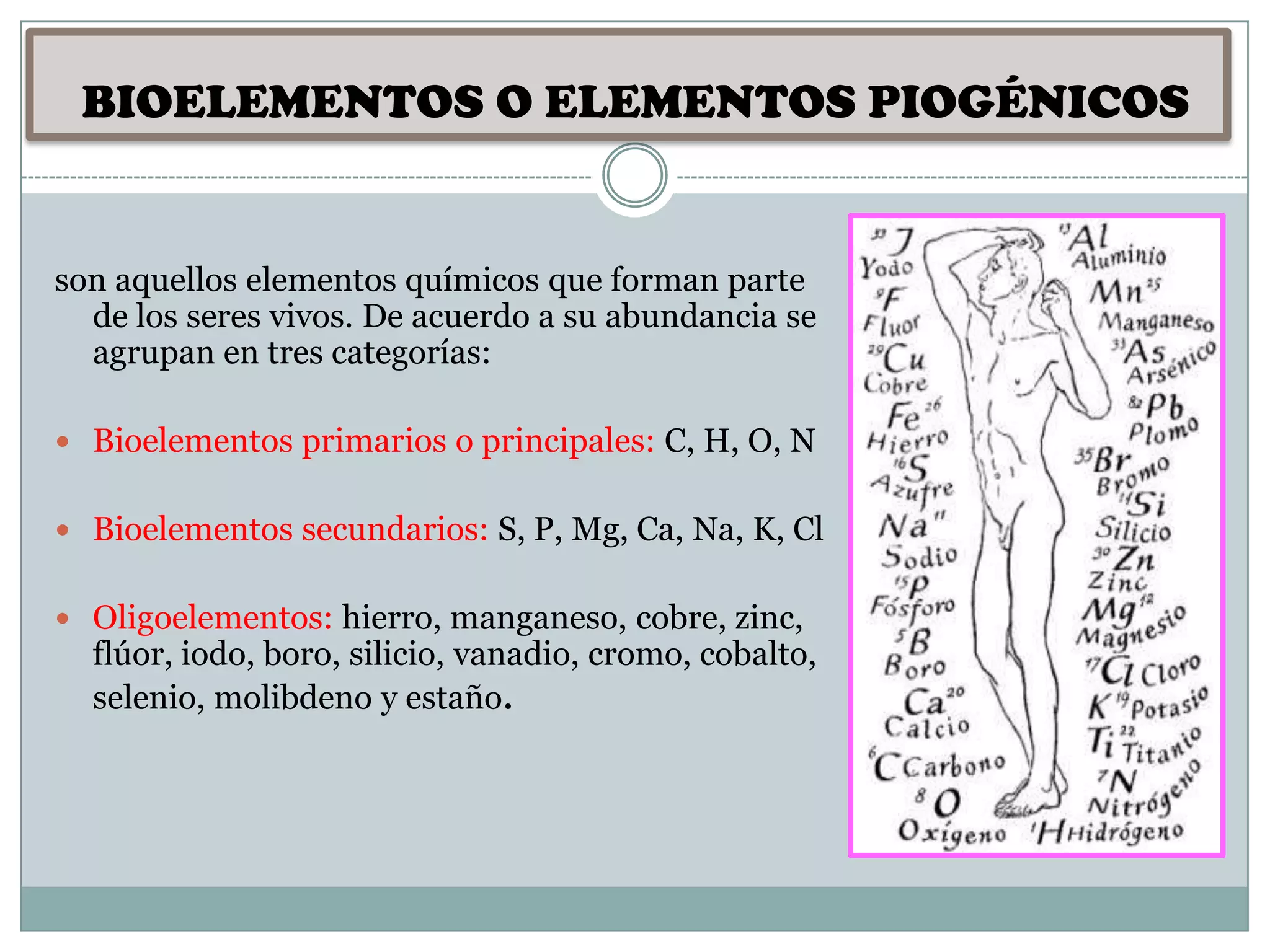 Composicion quimica del cuerpo humano | PPT