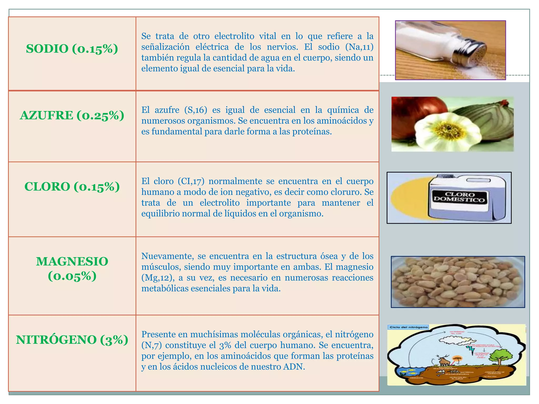 Composicion quimica del cuerpo humano | PPTX | Chemistry | Science