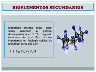 Composicion quimica del cuerpo humano | PPTX