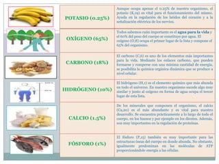 Composicion quimica del cuerpo humano | PPTX