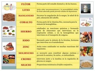 Composicion quimica del cuerpo humano | PPTX