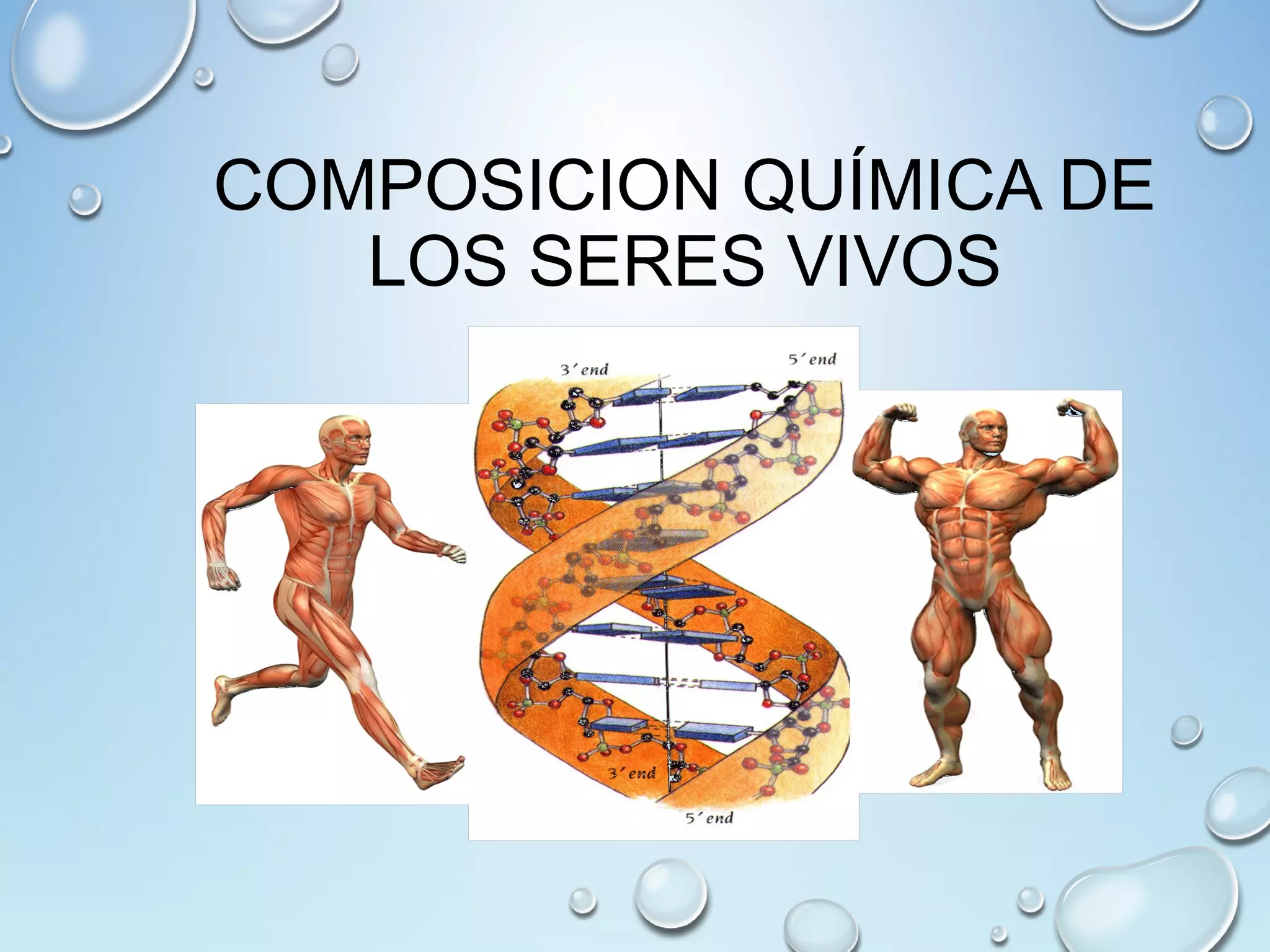 Composicion quimica de los seres vivos | PPT