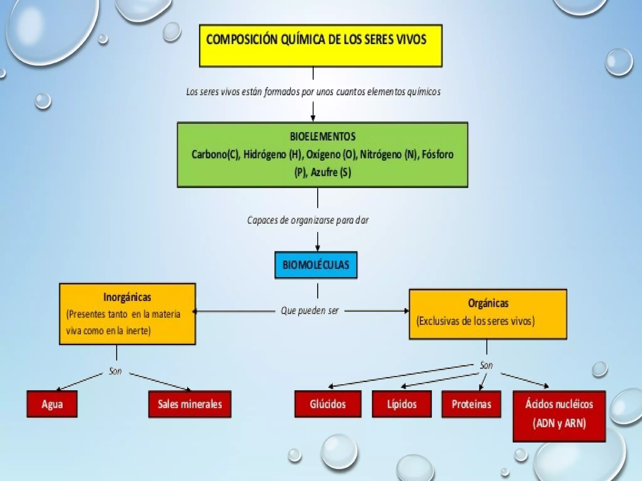 Composicion quimica de los seres vivos | PPT