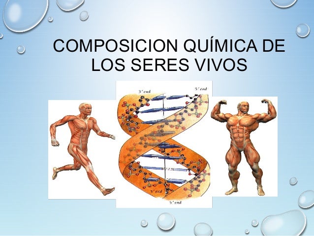 Composicion quimica de los seres vivos