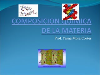 Prof. Yasna Mora Cortes
 