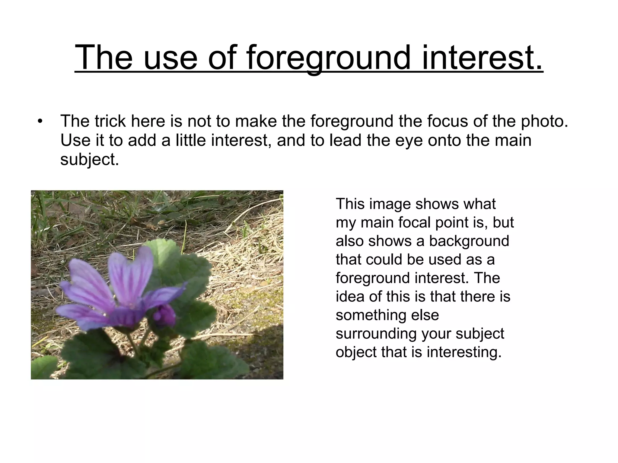 The use of foreground interest. The trick here is not to make the foreground the focus of the photo. Use it to add a little interest, and to lead the eye onto the main subject.  This image shows what my main focal point is, but also shows a background that could be used as a foreground interest. The idea of this is that there is something else surrounding your subject object that is interesting. 