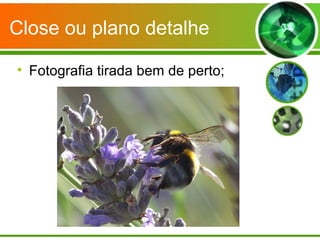 Close ou plano detalhe

• Fotografia tirada bem de perto;
 