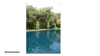 Geometrização
 
