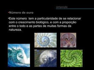 composição
•Número de ouro
•Este número tem a particularidade de se relacionar
com o crescimento biológico, e com a proporção
entre o todo e as partes de muitas formas da
natureza.
 