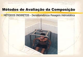 Métodos de Avaliação da Composição
 MÉTODOS INDIRETOS - Densitométricos Pesagem Hidrostática
 