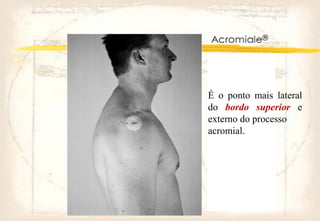 É o ponto mais lateral
do bordo superior e
externo do processo
acromial.
 