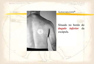 Situado no bordo do
ângulo inferior da
escápula.
 