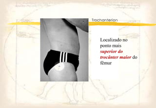Localizado no
ponto mais
superior do
trocânter maior do
fêmur
 